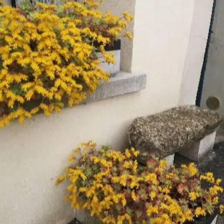 Apartment Atypique *